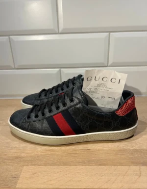 Gucci ace  - Mycket bra skick- storlek 42,5 kvitto box följer med 