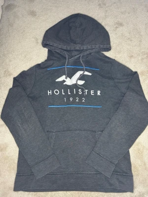 Vintage hollister hoodie - Riktigt snygg vintege hollister hoodie. Storlek S🙌🏼. Skickas inom 24h efter köp🙏🤩 kontakta för info och frågor‼️🙌🏼 färg /mörkgrå ish/