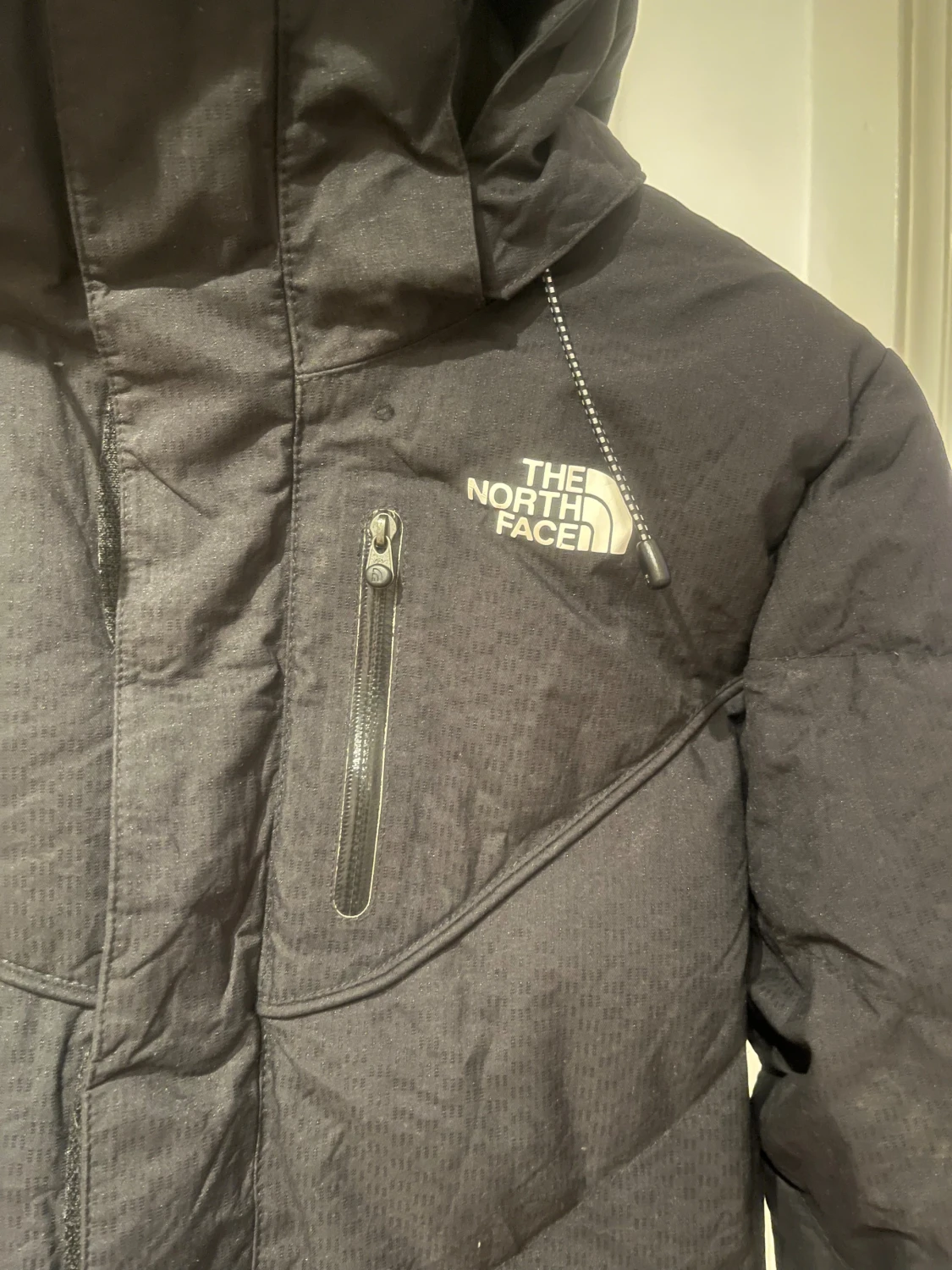 Fullrustad dunjacka från The North Face - 1