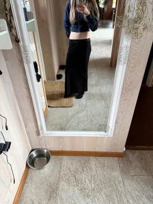 Svart långkjol glansig - Säljer en svart långkjol med enkel och clean look. Den e gjord av silkes likande material. Kjolen har en rak passform och sitter snyggt i midjan. Tillverkad i ett mjukt och stretchigt material som gör den bekväm att bära hela dagen. 