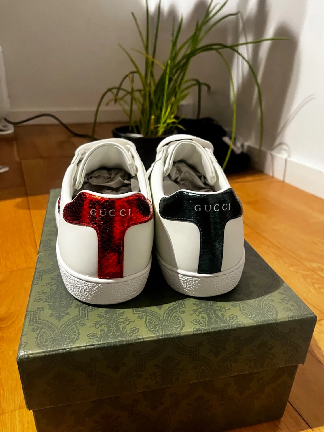 Gucci Ace sneakers orm - 2