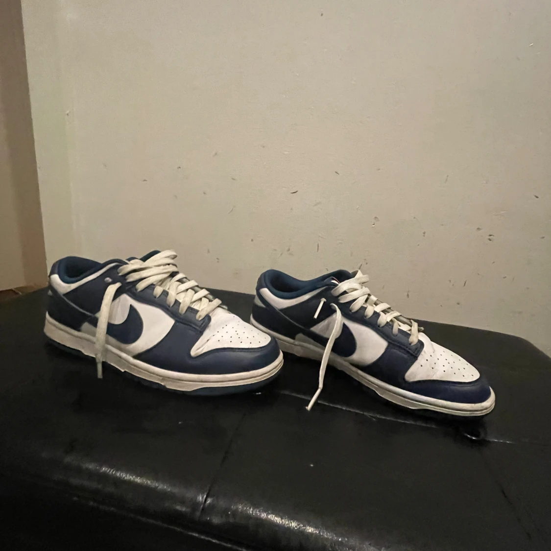 Nike Dunk Low blå och vita sneakers