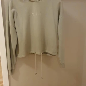 Grön hoodie från Gina Tricot - Säljer en grön hoodie från Gina Tricot i storlek S. Tröjan har huva, långa ärmar och snörning nedtill. Framtill står det 'LIMITED' broderat ton-i-ton. Mjuk insida och relaxed passform, perfekt för chill dagar.