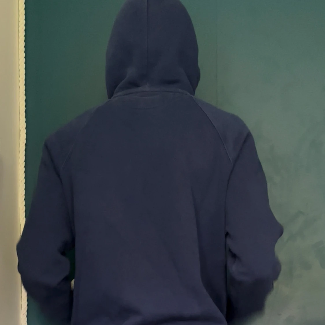 Blå hoodie från GANT med tryck - 1