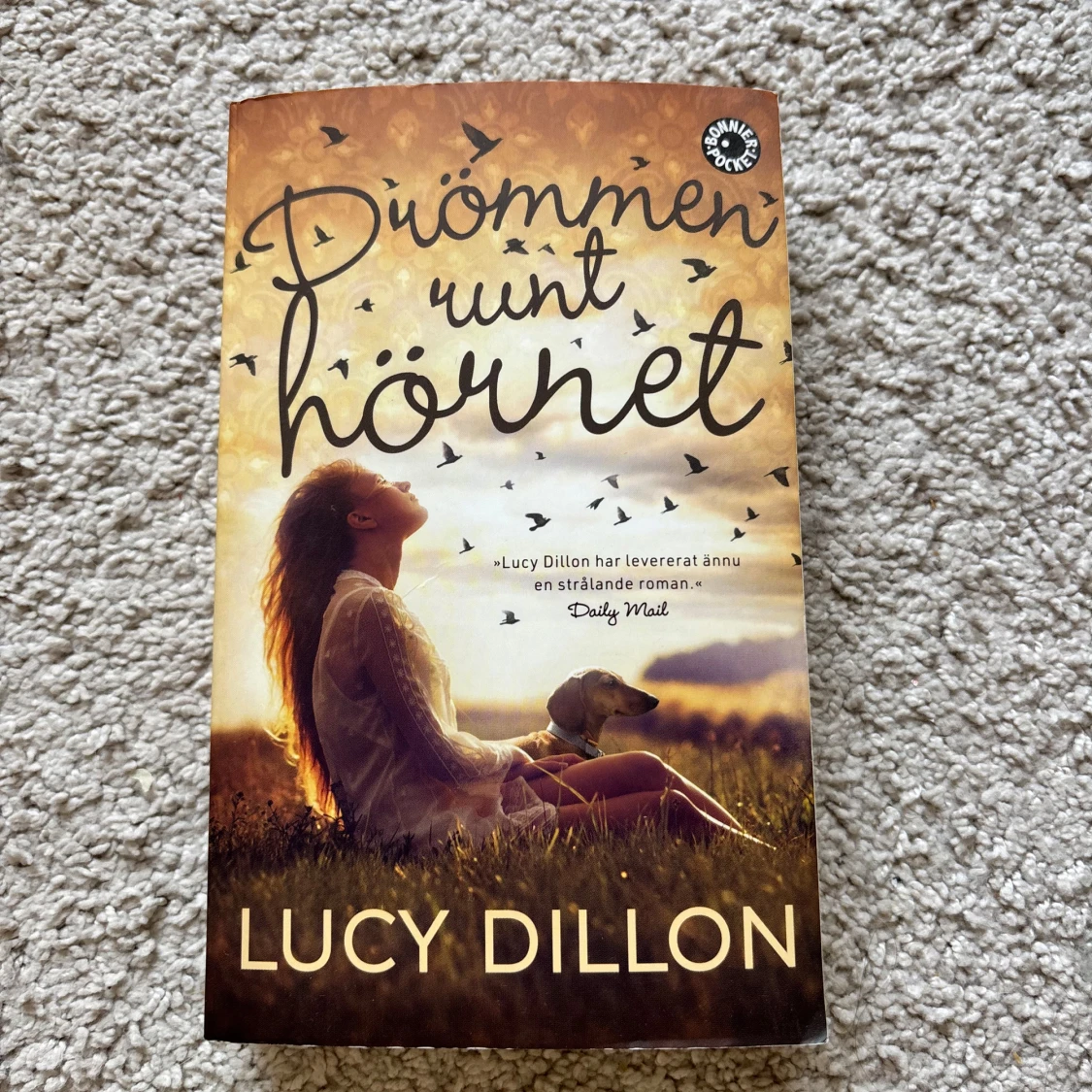 Drömmen runt hörnet - Lucy Dillon
