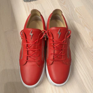 Giuseppe Zanotti Frankie low - Haft runt 6 månader använda men i mycket gott skick. Möts up i Stockholm C eller brev till dig