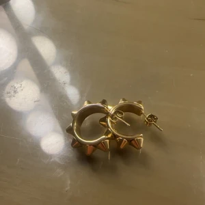 Guldiga örhängen Edblad  - Säljer dessa otroligt fina örhängen från Edblad! Jag säljer dem för att jag ångrat mig att jag inte köpt i den mindre storleken. Skriv gärna för frågor och om mera bilder!! 💞