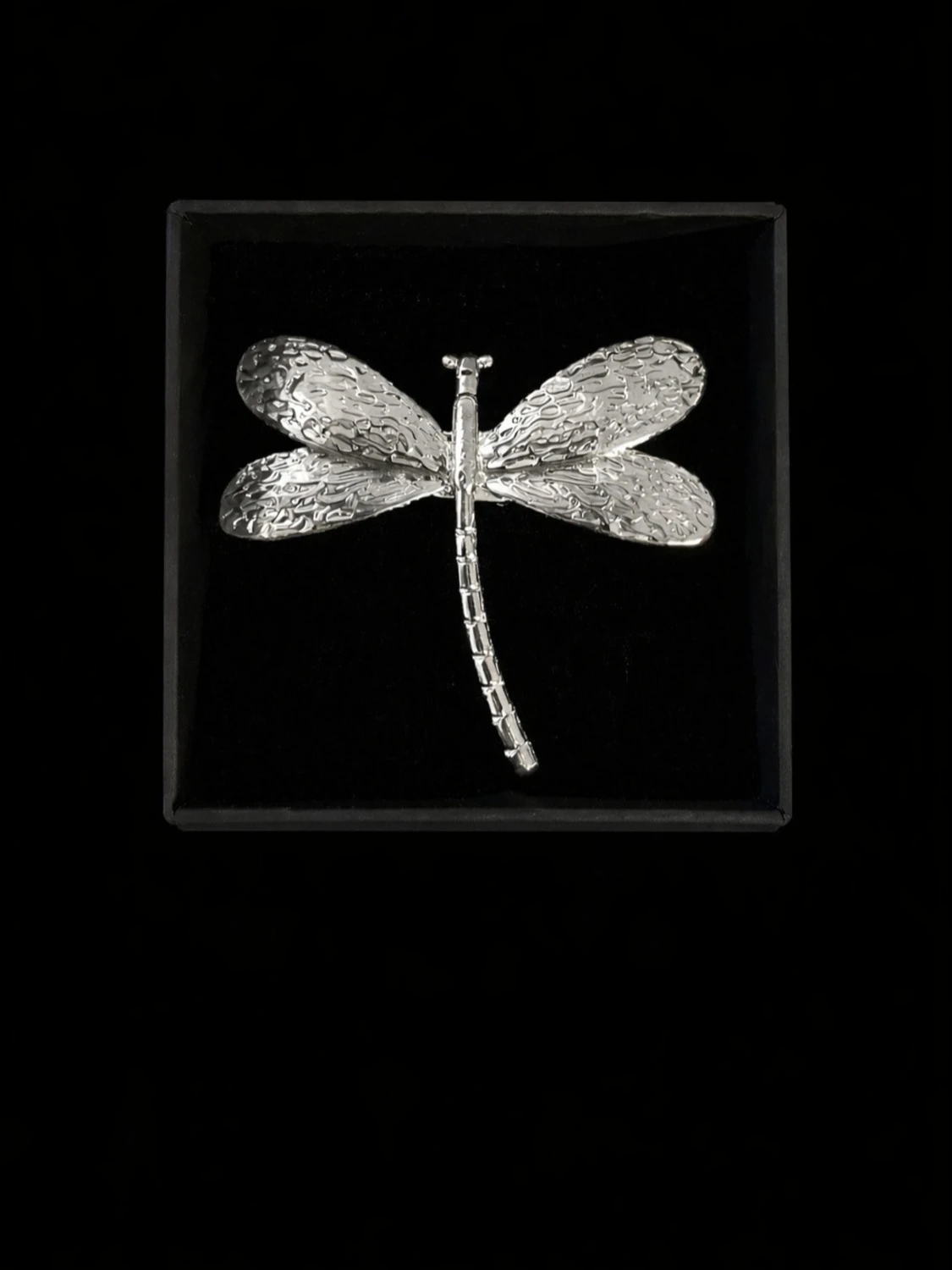 Silverfärgad ring trollslända