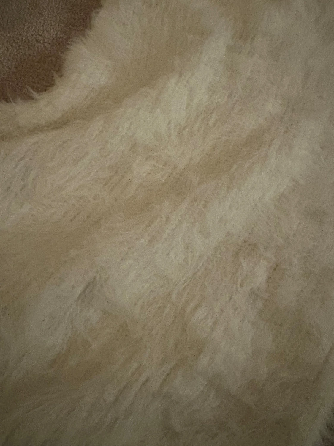 Vit fluffig halterneck topp från Zara - 3