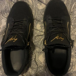 Giuseppe Zanotti - Säljer mina Giuseppe zanotti på grund av att jag inte längre använder dom lika mycket. Skicket är väldigt bra och nästan som nya. Riktigt snygga gulddetaljer med dragkedjorna och märket på plösen. Skorna är riktigt sköna och fräscha. Storlek 43 1/2. Priset är inte hugget i sten så kom med bud.