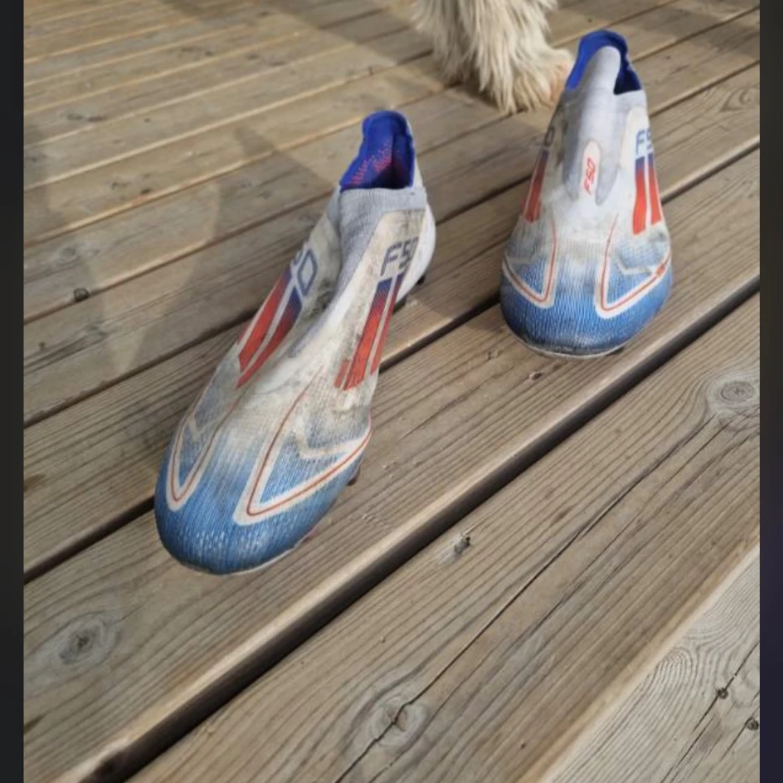 Adidas F50 fotbollsskor blå/röd - 2