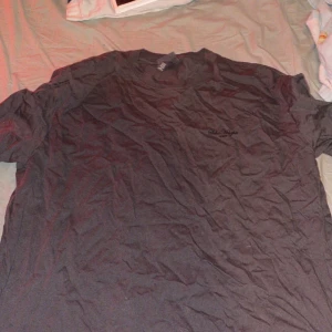 Svart t-shirt från H&M XXL - Svart t-shirt från H&M i storlek XXL med stor, snygg tryckt logga på ryggen och diskret text på bröstet. Klassisk rund hals och korta ärmar. Perfekt för dig som gillar enkel stil med en twist. Materialet är mjuk bomull.