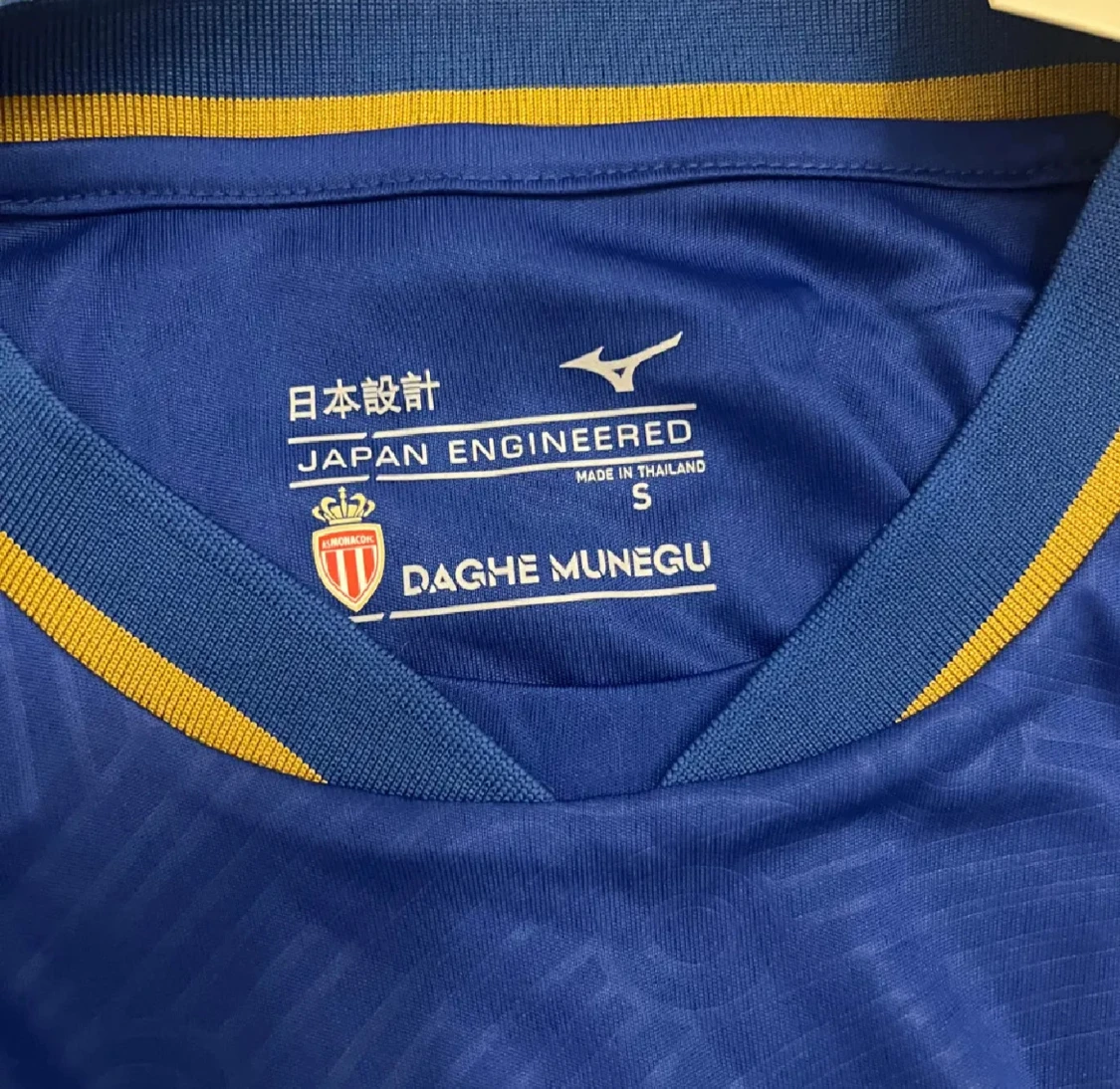 Pogba Monaco tröja small - 2