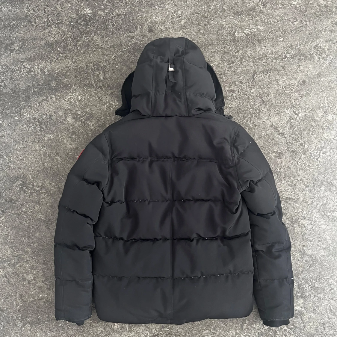 MacMillan Canada Goose - 1