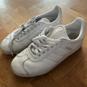 Vita gazelle - Vita Gazella svin snygga