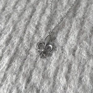 Pure Fleur - Minimalist necklace featuring a 2 x 1.3 cm polished fleur-de-lis pendant on a 50 cm chain. Stainless steel, rust- and nickel-free. Unisex