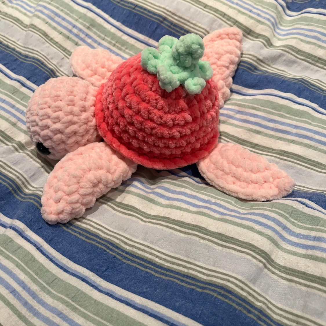 Virkad jordgubbssköldpadda  - 2