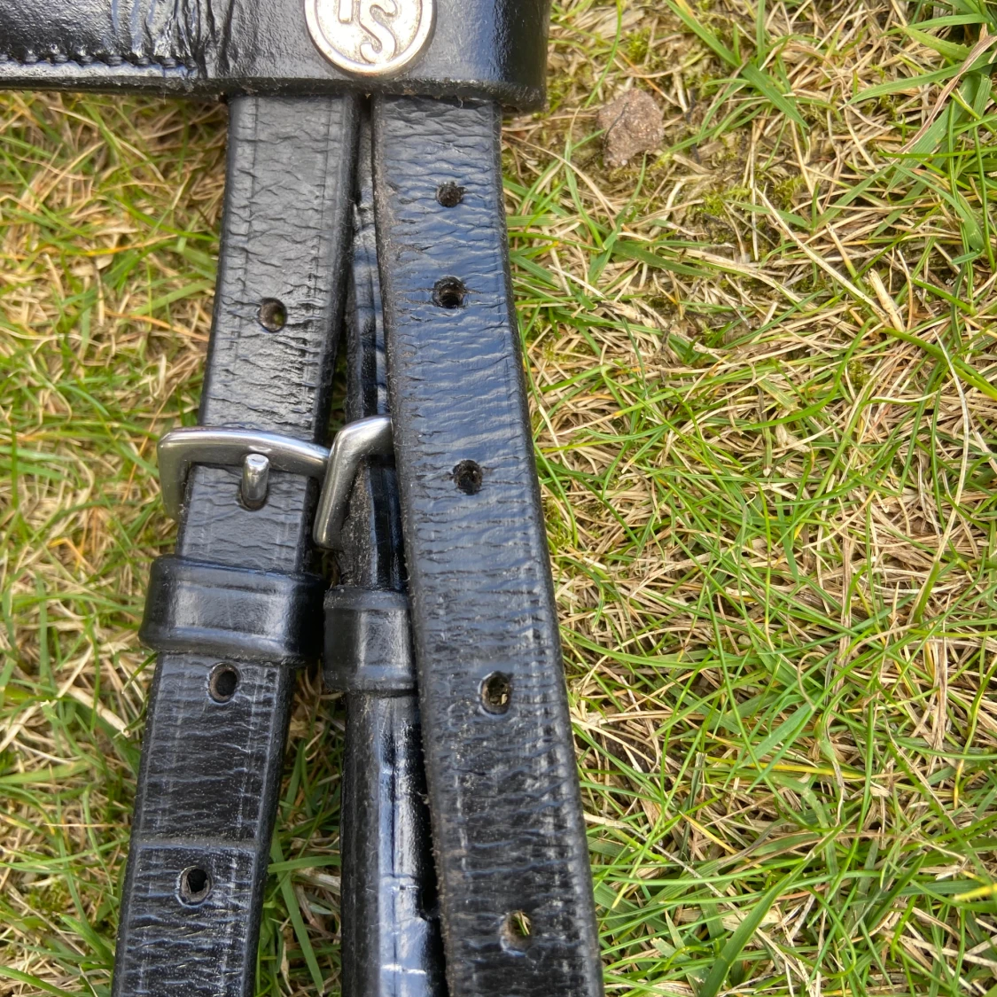 Svart dressyr träns från Hansbo ridsport - 2