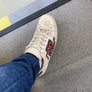 Gucci ace - Säljer dessa snygga Gucci skor för 1899 i helt okej skick allt i går inklusive box samt kvitto etc skicka gärna prisförslag samt frågor om bilder 
