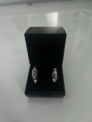 Örhängen Edblad  - Säljer mina edblads örhängen då dom inte kommer till användning. 