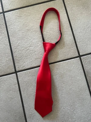 Röd clip-on slips - Snygg röd clip-on slips i blankt tyg. Enkel att ta på tack vare elastiskt band runt halsen. Perfekt för dig som vill ha en stilren accessoar utan krångel. Passar till skjorta eller kavaj för en clean look.