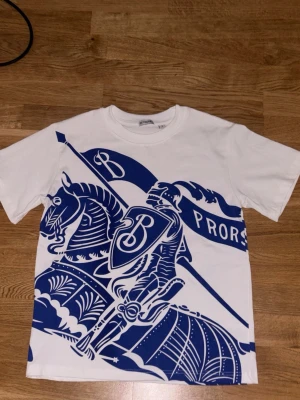 Burberry T-shirt  - Säljer en riktigt fin burnerry T-shirt för dig med clean stil och som vill se fräsch ut. Pris är diskutabelt.