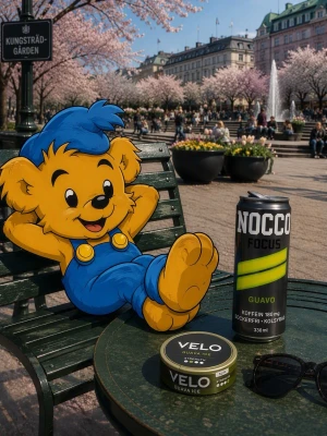 Bamse Nocco Velo poster - Poster med ram