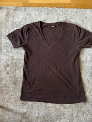 V-ringad brun t-shirt  - Brun t-shirt med v-neck, köpt på loppis!