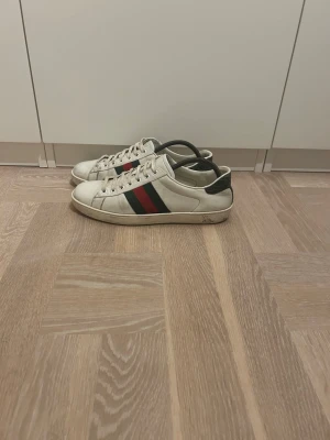Vita Gucci aces - Trötta på dem så det är därför jag säljer