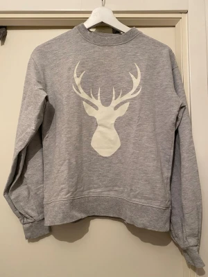 Grå sweatshirt  - Mysig grå sweatshirt perfekt inför vintern, med puffiga armar 