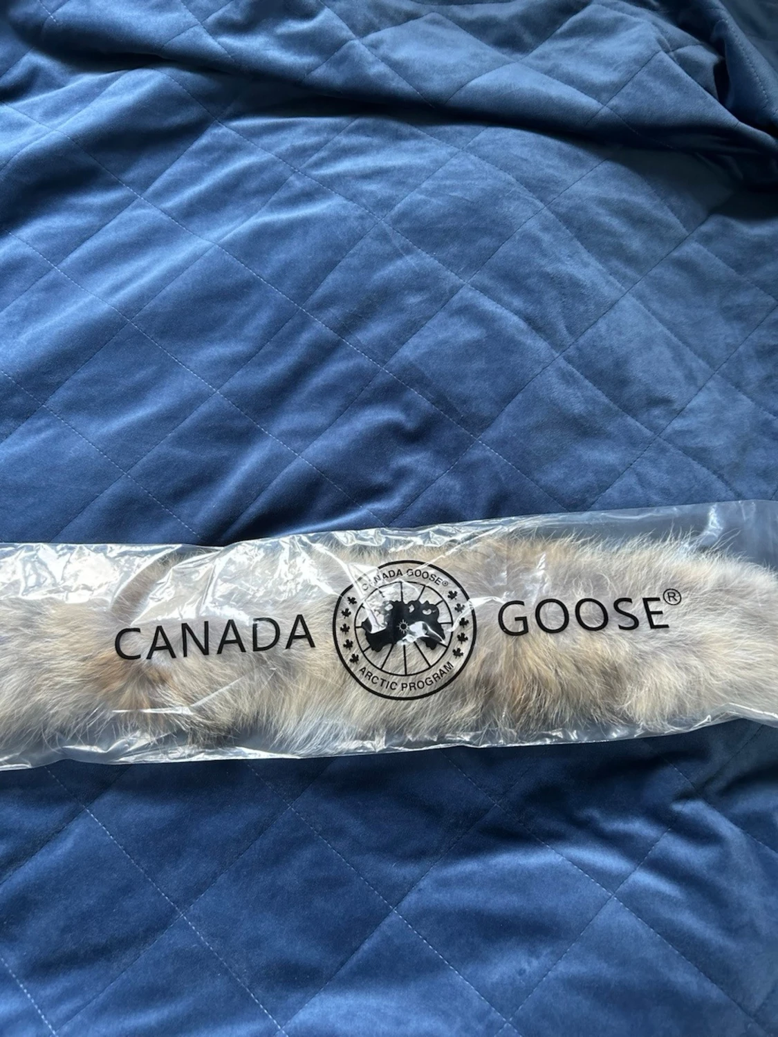 Canada goose wyndham  - 3