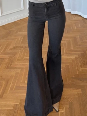 Alobha label jeans  - Slutsålda eftertraktade jeans! SÄLJER BÅDE storlek 36 OCH 38
