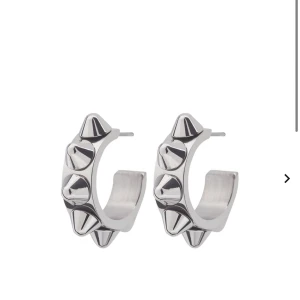 Helt nya örhängen från Edblad  - Säljer ett par helt nya örhängen från Edblad! Så extremt snygga älskarrr dessa!! Säljs pga att jag råkade beställa två par. Priset går att diskutera vid snabb!