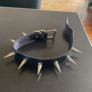 Choker med långa nitar  - Köpte på en second hand butik för 70kr, inte använt mer än två tillfällen☺️
