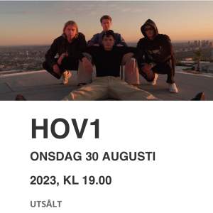 2 biljetter till när Hov1 spelar på Parksnäckan i Uppsala. 400kr per biljett (priset kan diskuteras)