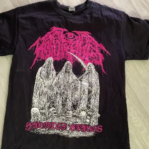 Hot graves tröja - Hot graves tröja i storlek M 