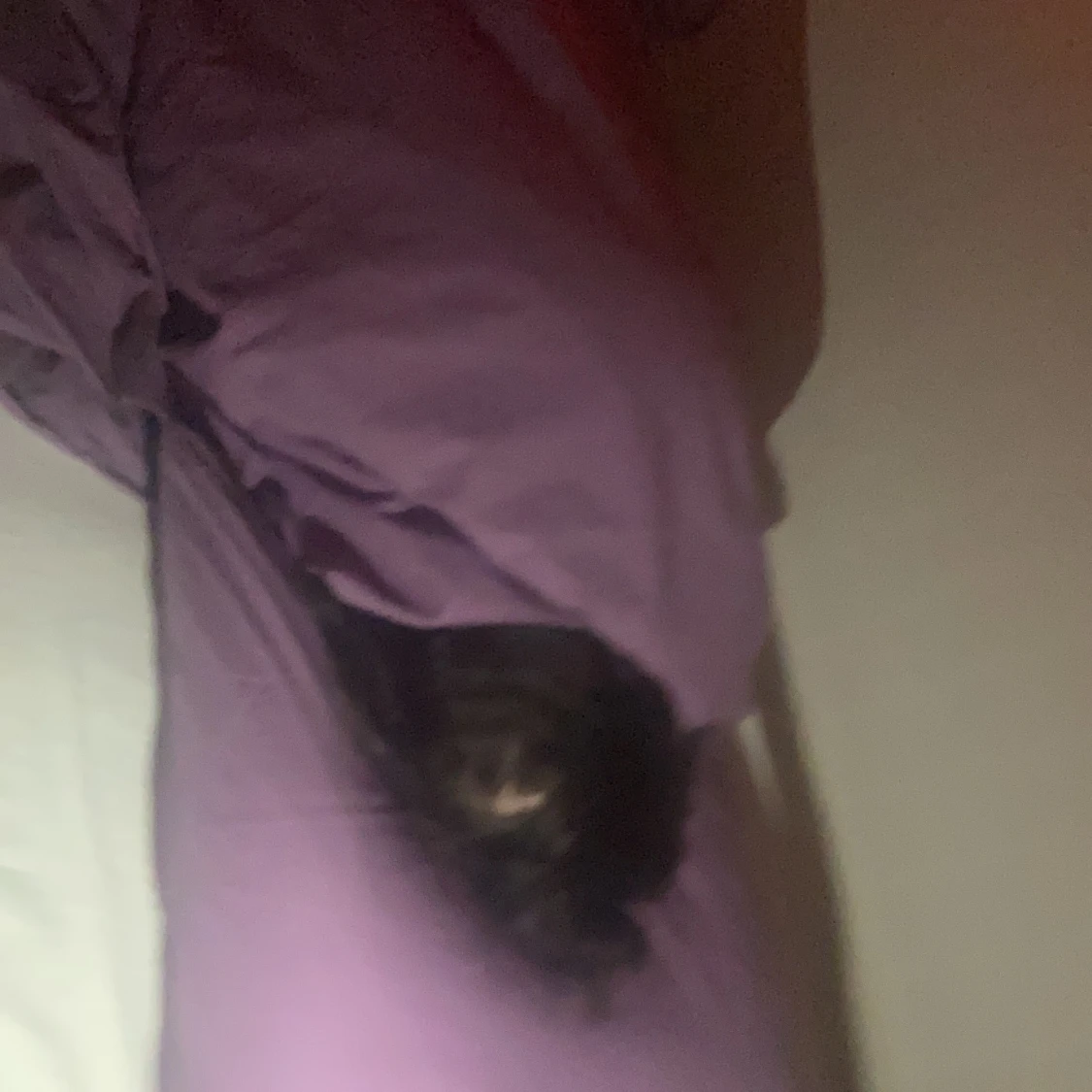 Säljs för 100kr - 91