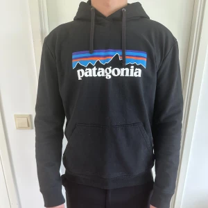 Patagonia hoodie - Patagonia hoodie i storlek M, använd fåtal gånger utan tecken av användning. Nypris ligger den på cirka 999 kr