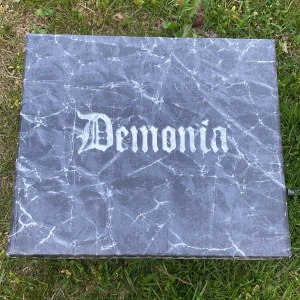 Demonia skor - Coola demonia skor Använda ca 10 gånger och är i bra skick🩷