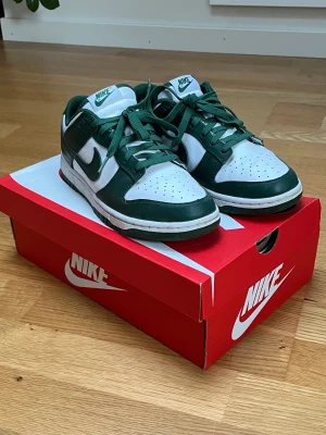 Nike dunk low - Dunks i färgen spartan Green!!! As coola 😍😍