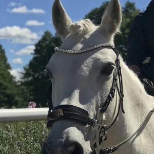 Pannband - Pannband resarverat 