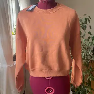 Jag säljer min orangea tröja från Lager 157. Tröjan är aldrig använd och är i ett jättebra skick. Köparen står för frakt.