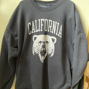 Brandy melville sweatshirt tröja  - Bra skick, skickar inte bilder på mig, såld ut på sidan