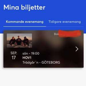 Säljer min hov1 biljett för kommer inte kunna gå på den. Konserten är i Göteborg den 17 september (söndag)