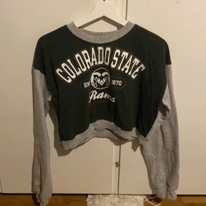 Collegetröja  - Jättecool croppad collegetröja köpt på beyond retro för ett tag sen, står ingen storlek men skulle säga att det är en XS/S🩷