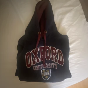 Hoodie  - En skit snygg vintage Hoodie som kan va skön till sena sommarkvällar och såklart övrigt . Använd ca 2 gånger och köptes för 300kr. Jag är 1,75 lång 