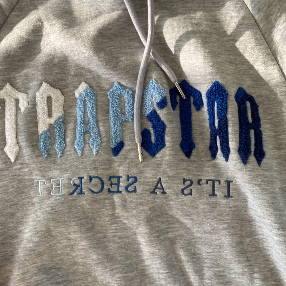 Hej! Säljer nu min Trapstar hoodie då ja tröttnat på stilen.. Tröjor & Koftor.