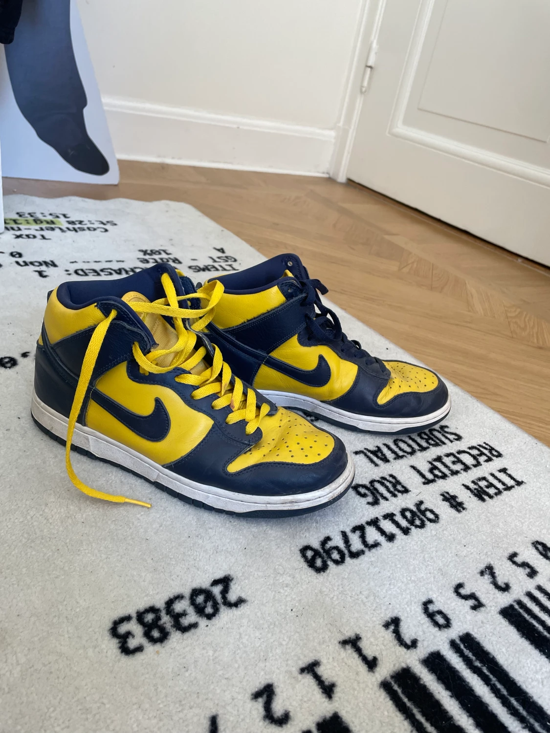 Nike Dunk Michigan