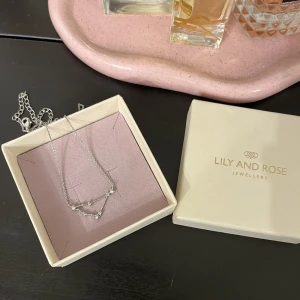 Halsband - Super fint silvrigt stjärntecken halsband från LILY AND ROSE i tecknet stenbock💕 som nytt, aldrig använt nypris 439
