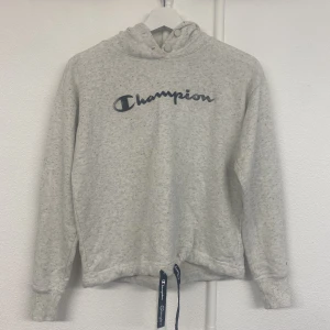 Champion hoddie - Fint skick,